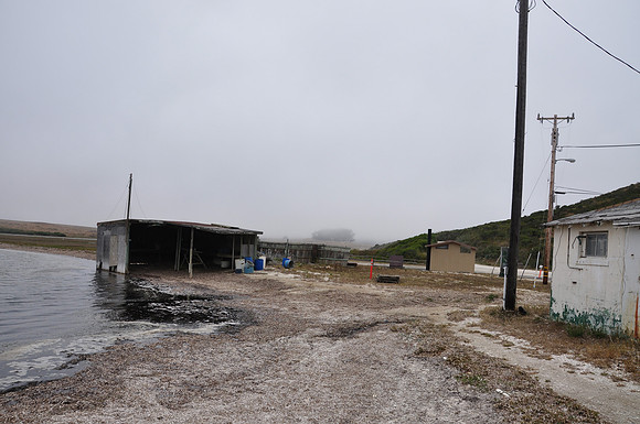 point reyes (37).jpg