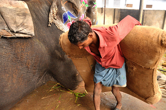 Daily Life in Jaipur, Rajistan (10)
