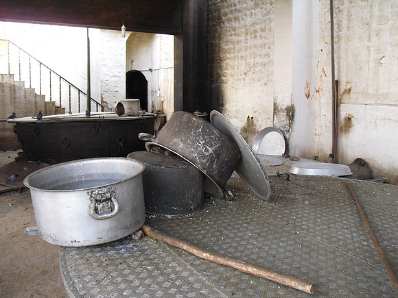 bikaner 2011 (4)