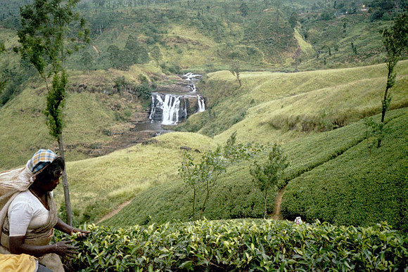 Sri Lanka best fotos (13)