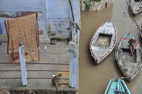 Boatman and Monkey Varanasi