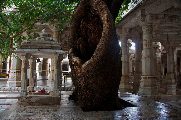 Jain Temple in Ranakpur Rajasthan