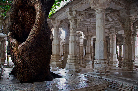 Jain Temple in Ranakpur Rajasthan