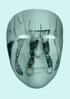 Broken Face Digital A3 Prints January 2026