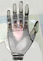 Nature Takes the Backseat Digital A3 Prints January 2026