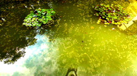 Bad Hall Kur Park July 2020