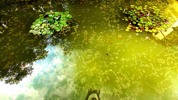 Bad Hall Kur Park July 2020