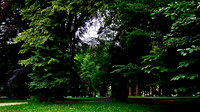 Bad Hall Kur Park July 2020