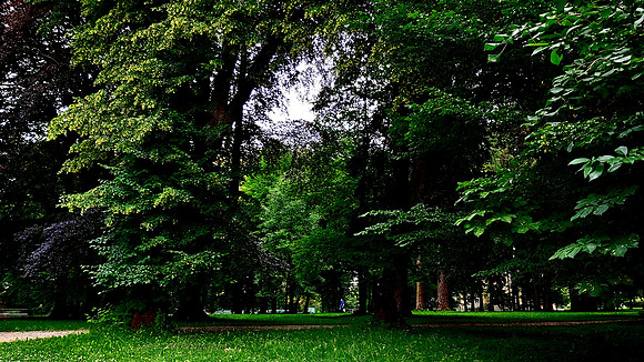 Bad Hall Kur Park July 2020