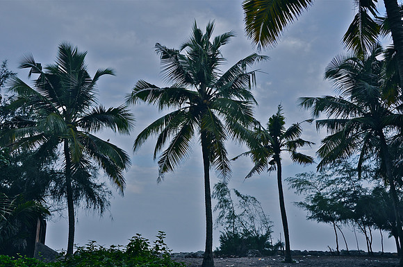 Amritapuri Kerala South India