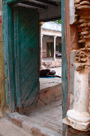 Street Life in Varanasi 2010 (69)