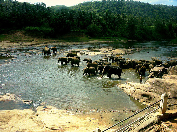 Sri Lanka best fotos (16)