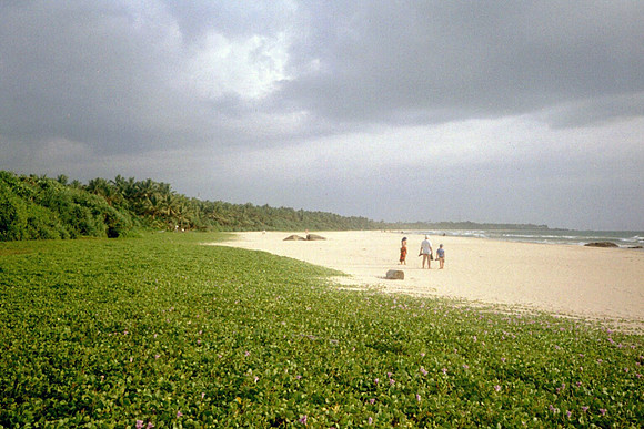 Sri Lanka best fotos (12)