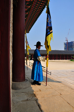 Gyeongbok & Changdeok Palaces Seoul (4)