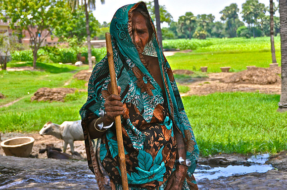 Old Woman with Staff Uttar Pradesh