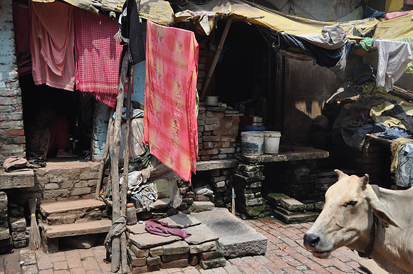 burning ghat 2010 (4)