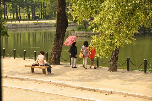 Gyeongbok & Changdeok Palaces Seoul (10)