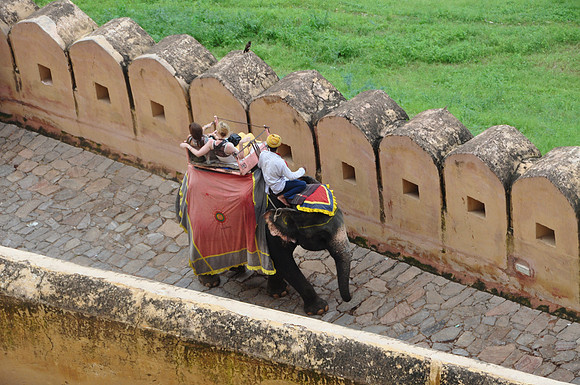 amber fort (25)