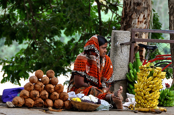 Woman Selling Fruit Mahpradesh