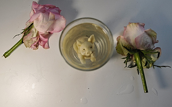 Pig in Glass