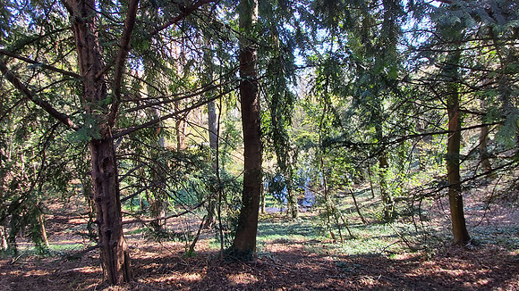 An empty Park in Döbling March 2020