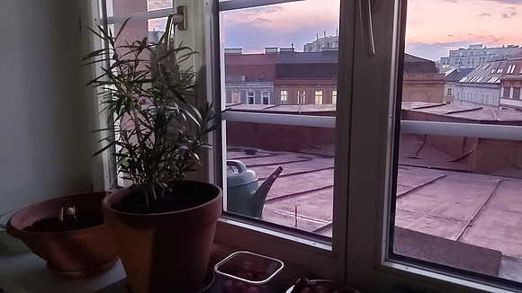Quarantine at Home March 2020