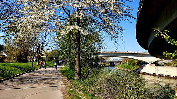 Danube Canal in Carona Social Distancing Times