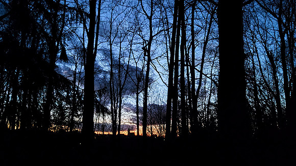 Night in Social Isolation in Bad Hall Schloss Park