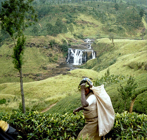 Sri Lanka best fotos (14)
