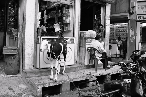 Varanasi 2014