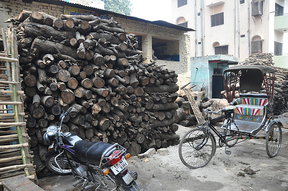 burning ghat 2010 (9)