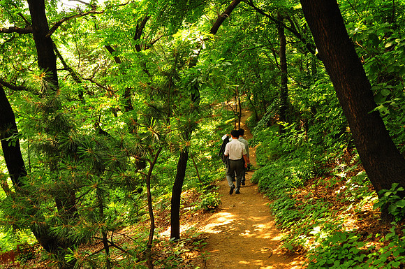 Bongeunsa Temple Seoul (12)
