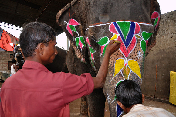 Daily Life in Jaipur, Rajistan (11)