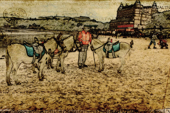 donkey riding on beach