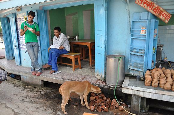 Dog Drinking Left-Over Lassi