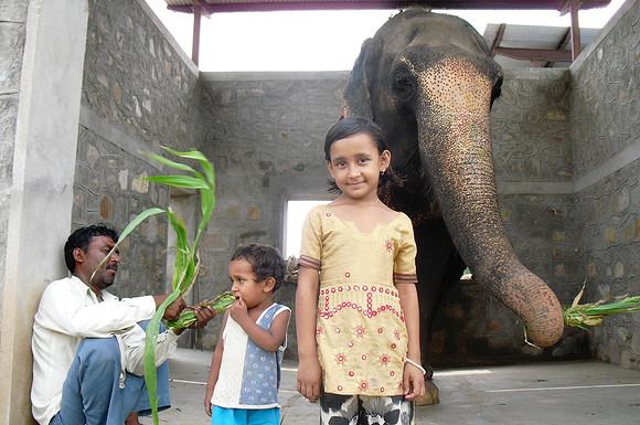 Hati Gau (elephant family- Muscan)