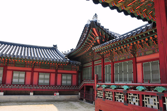 Gyeongbok & Changdeok Palaces Seoul (23)