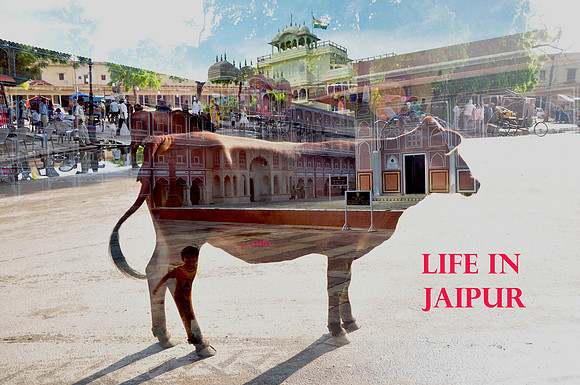 Daily Life in Jaipur- Rajistan Kopie