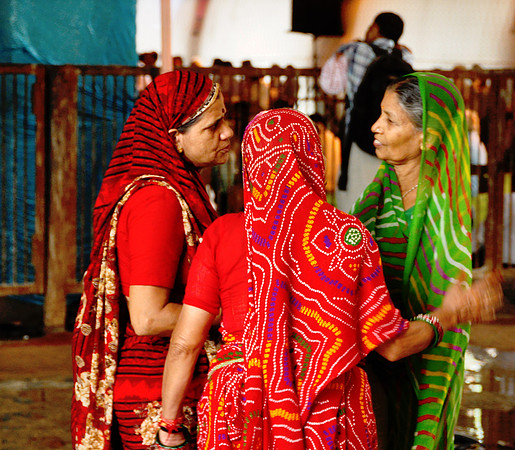 Daily Life in Jaipur, Rajistan (27)