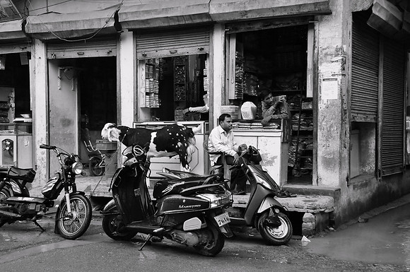 Varanasi 2014