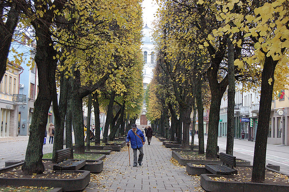 kaunus (20).JPG