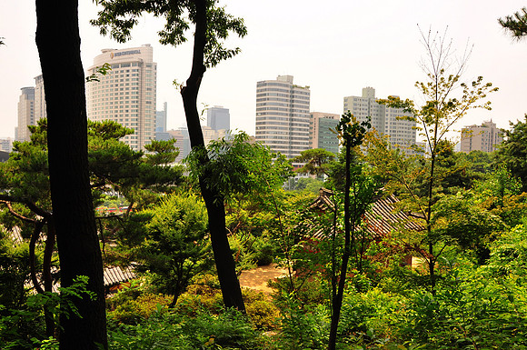 Bongeunsa Temple Seoul (13)