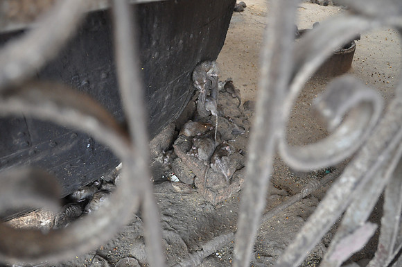 india photos 20102011 138