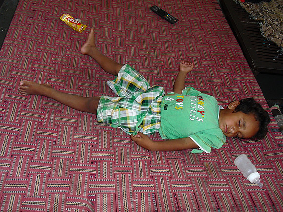 Aaslan Asleep Hati Gau Jaipur
